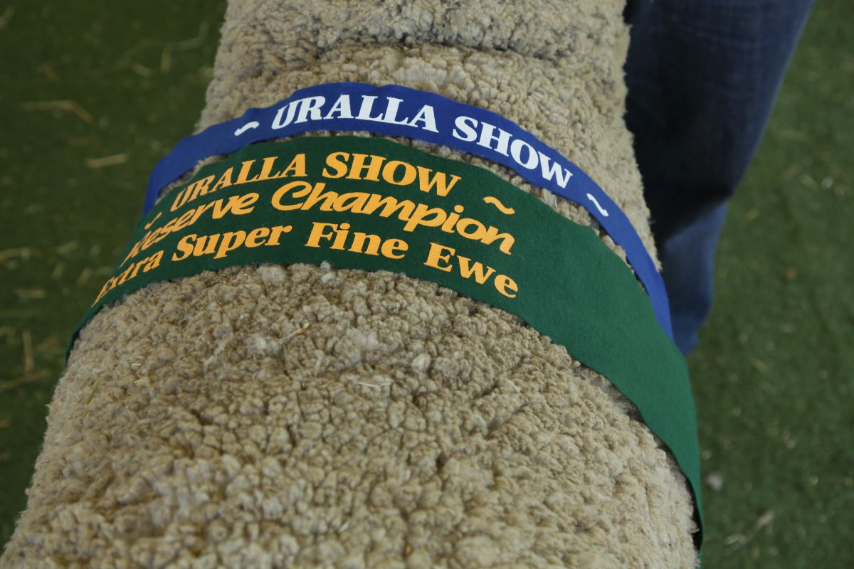 Uralla Show 2015